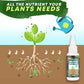 🔥Solution nutritive pour plantes