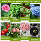 🔥Solution nutritive pour plantes