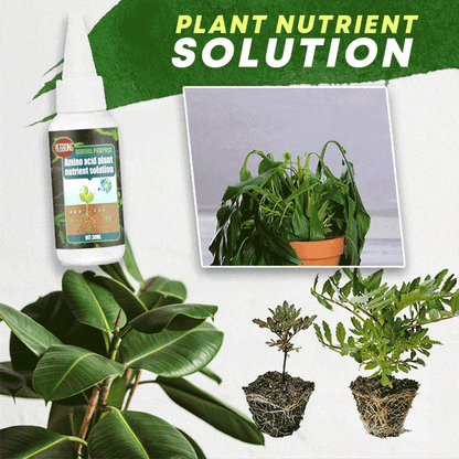 🔥Solution nutritive pour plantes