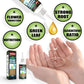 🔥Solution nutritive pour plantes