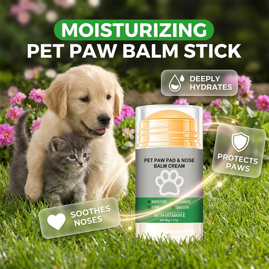 🐶 Crème hydratante pour les pattes de votre animal — un soin pratique pour rendre les pattes de votre compagnon douces et lisses