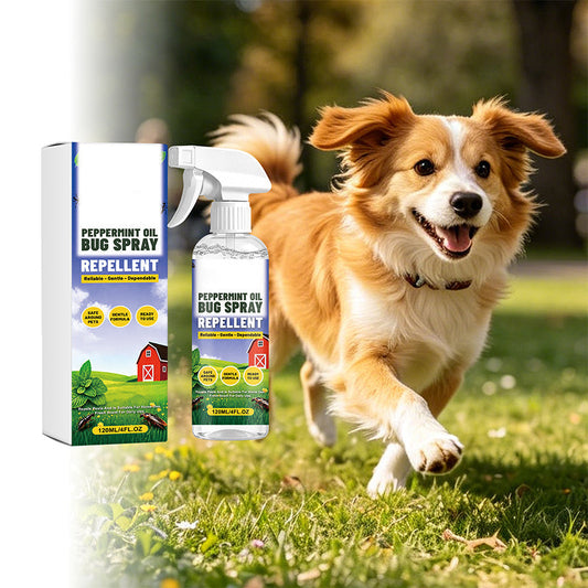 🥳 PLUS DE 50 000 EXEMPLAIRES VENDUS ! 🔥 50 % DE RÉDUCTION ! 🔥Spray anti-insectes à base de plantes