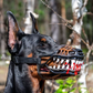 🎃-50% MAINTENANT ! 🐶Muselière Halloween Réaliste pour Chien – Crocs Ensanglantés Effrayants, Costume Amusant pour Fête d’Halloween