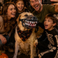 🎃-50% MAINTENANT ! 🐶Muselière Halloween Réaliste pour Chien – Crocs Ensanglantés Effrayants, Costume Amusant pour Fête d’Halloween
