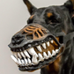 🎃-50% MAINTENANT ! 🐶Muselière Halloween Réaliste pour Chien – Crocs Ensanglantés Effrayants, Costume Amusant pour Fête d’Halloween