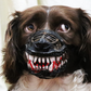 🎃-50% MAINTENANT ! 🐶Muselière Halloween Réaliste pour Chien – Crocs Ensanglantés Effrayants, Costume Amusant pour Fête d’Halloween
